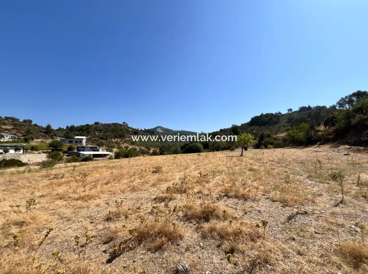 15 Hektar Olivenhain, Geeignet Für Investitionen An Der Seferihisar Beyler Road