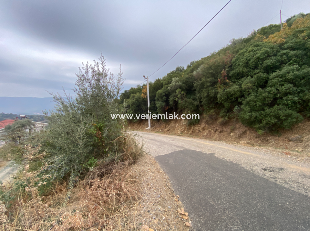 516M2 Grundstück Zum Verkauf Ecklage In Seferihisar Altes Orhanli Dorf