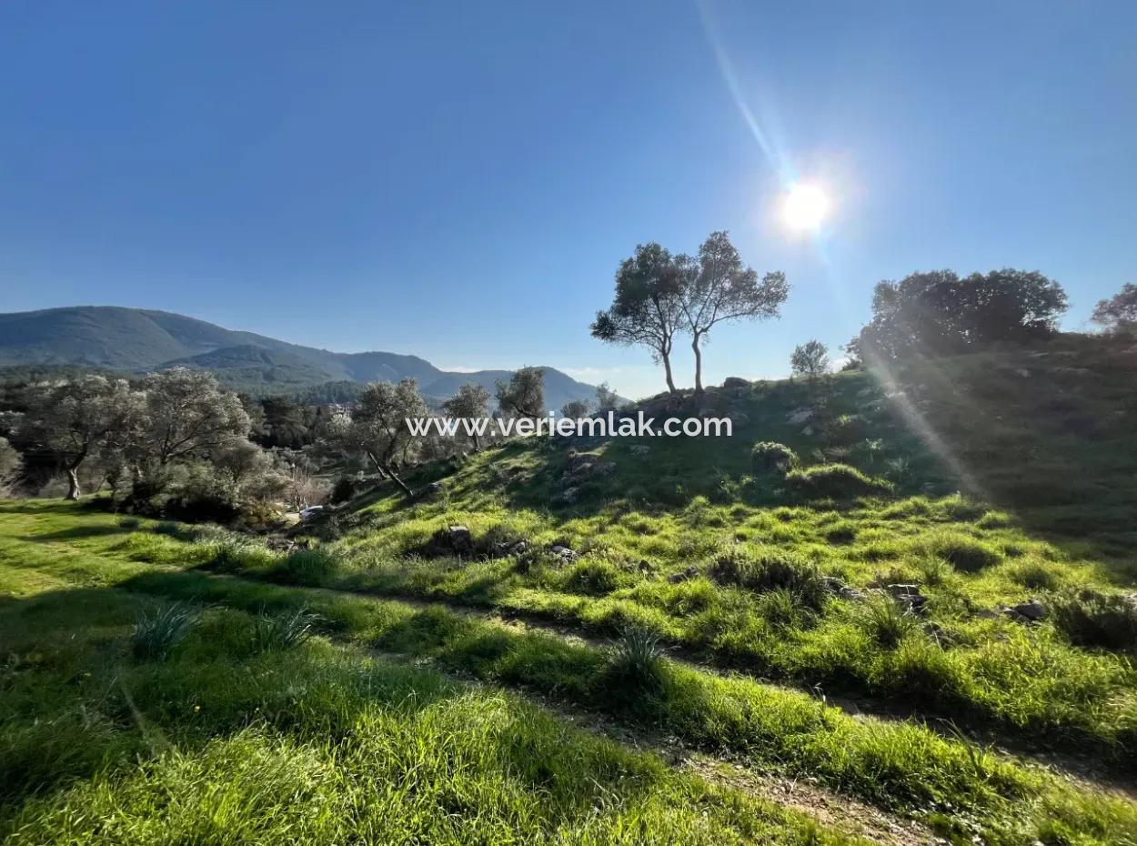 10.000 M² Katasterstraße, Panoramablick Auf Die Natur Grundstück Zum Verkauf In Orhanlı, Seferihisar