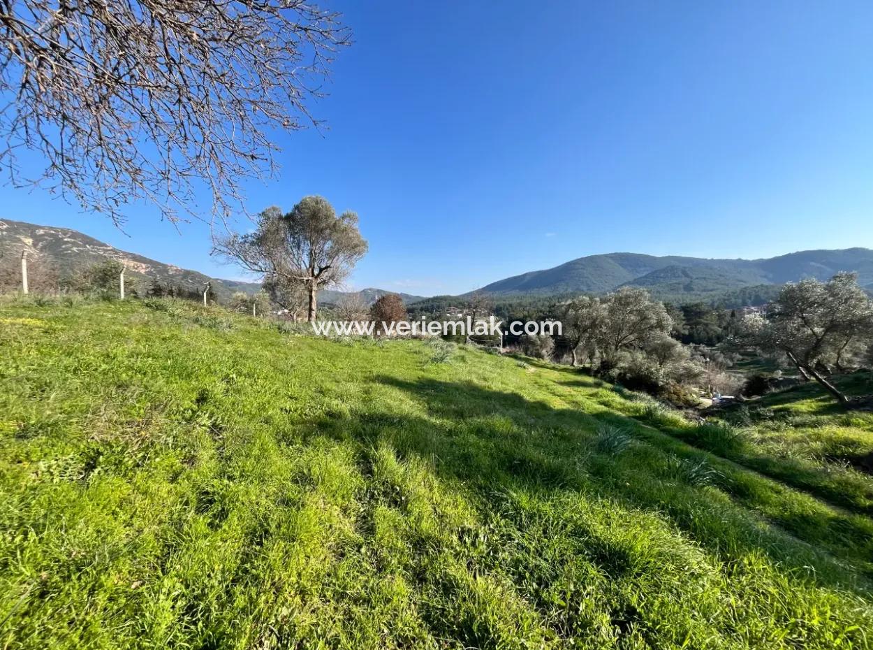 10.000 M² Katasterstraße, Panoramablick Auf Die Natur Grundstück Zum Verkauf In Orhanlı, Seferihisar