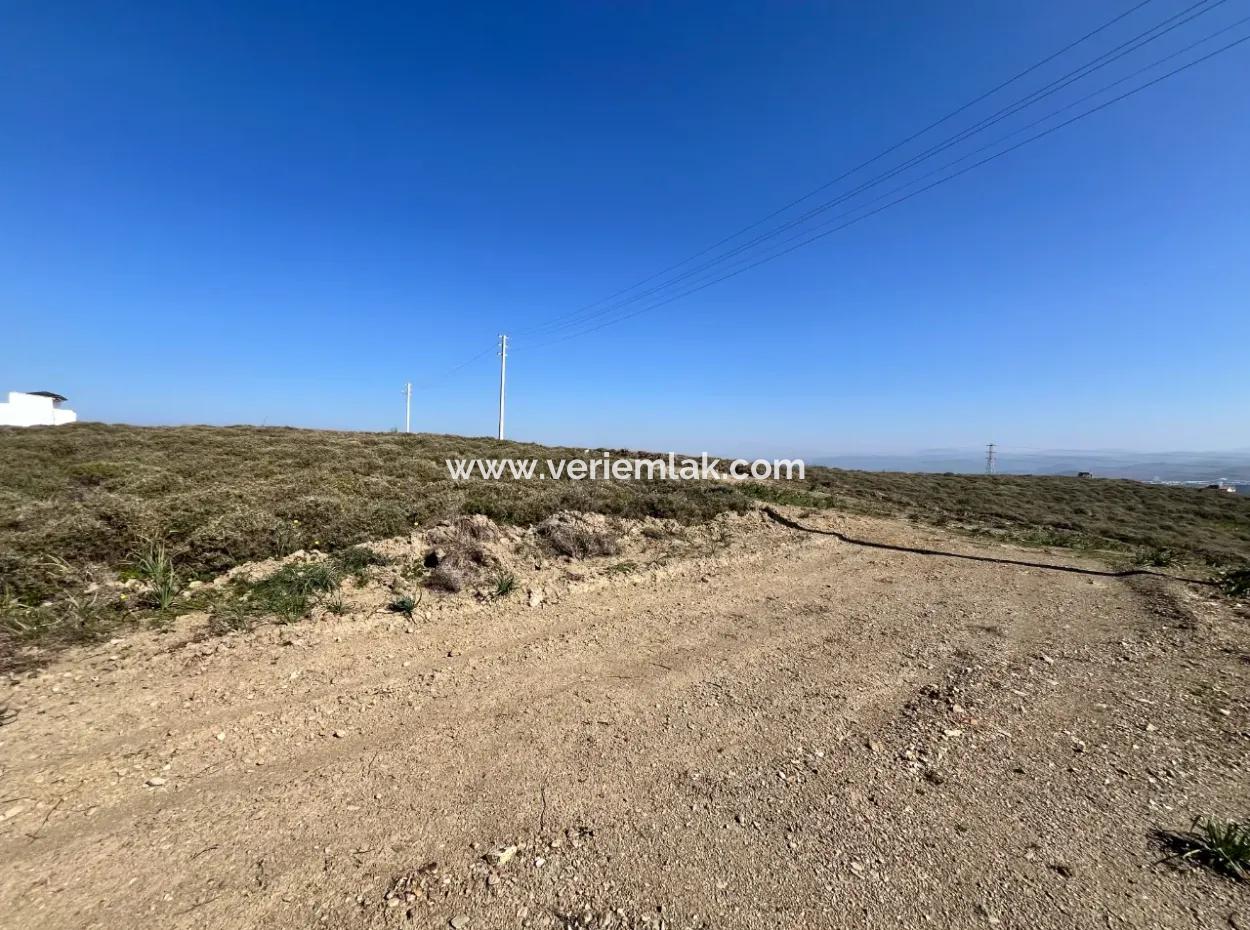 Villa Zoned Land Zum Verkauf, Geeignet Für Investitionen In Seferihisar Düzce Nachbarschaft