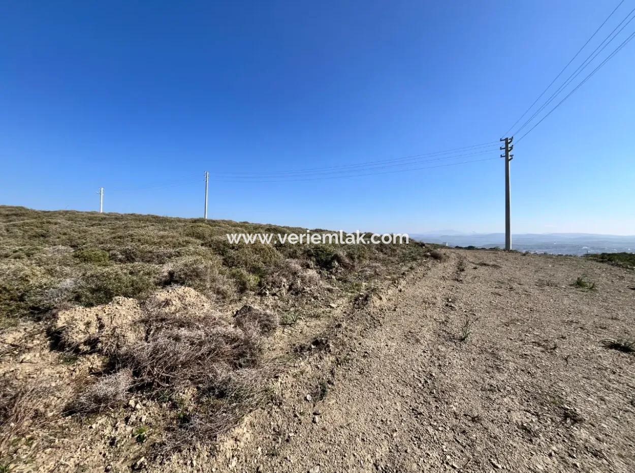 Villa Zoned Land Zum Verkauf, Geeignet Für Investitionen In Seferihisar Düzce Nachbarschaft