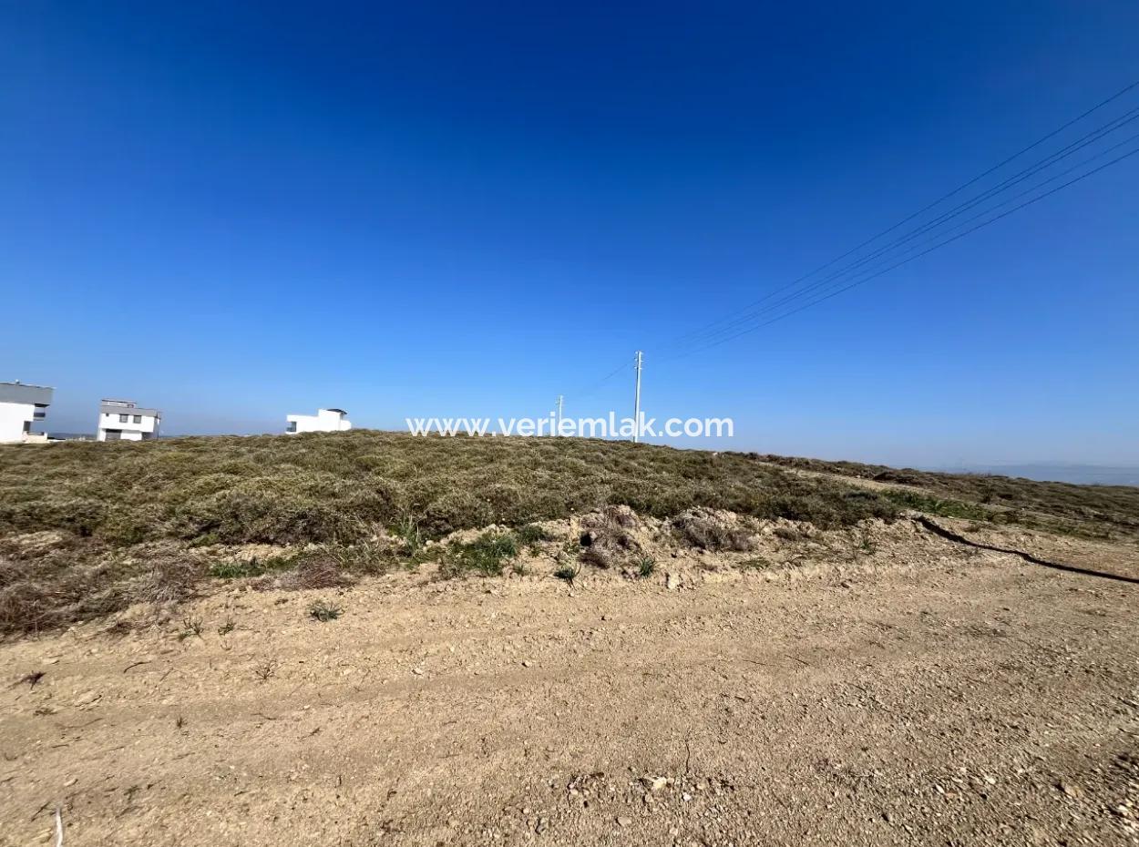 Villa Zoned Land Zum Verkauf, Geeignet Für Investitionen In Seferihisar Düzce Nachbarschaft