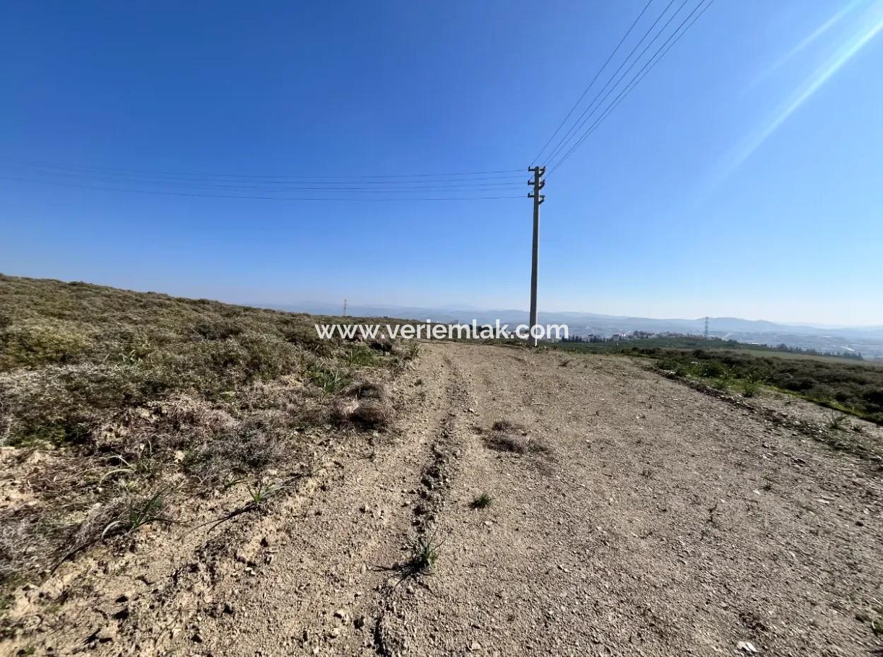 Villa Zoned Land Zum Verkauf, Geeignet Für Investitionen In Seferihisar Düzce Nachbarschaft