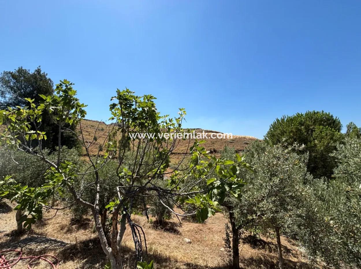 Investitionsvilla Zoniertes Grundstück In Seferihisar Bahçeköy Region!