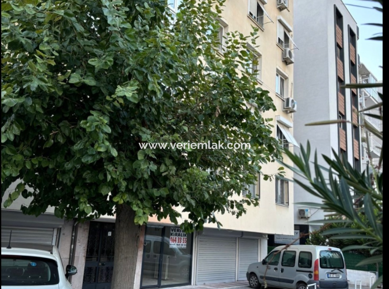 Alsancak Trt, Mieten Sie Mit Wc Und Parkplatz Rund Um Krankenhäuser!