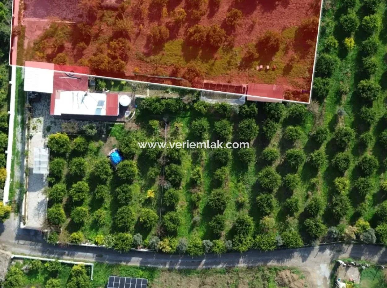 Freistehendes Haus Zum Verkauf In Einem 2200 M² Grossen Tangerine-Garten Im Viertel Seferihisar Düzce