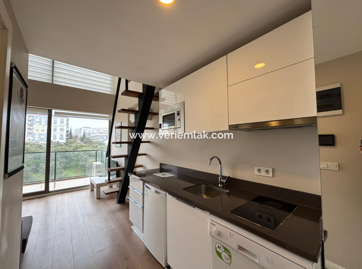 Buca Koop Myway Site 3. Stock 1 1 Loft Möblierte Wohnung Zur Vermietung!