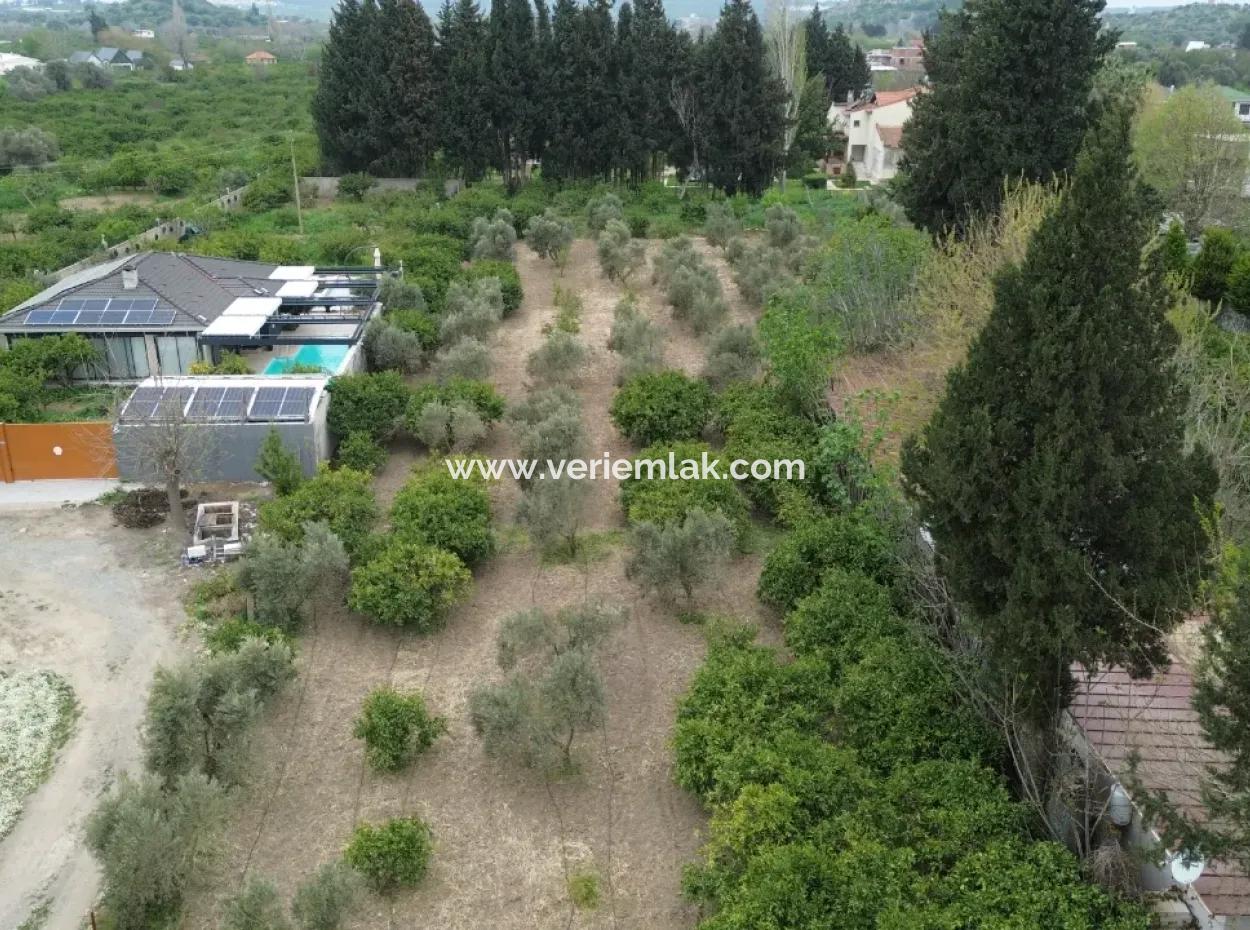 3 Separate Eigentumsurkunden In Sığacık Vom Veri Naranciye Garden Zum Verkauf!