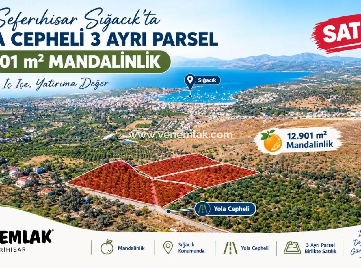 12,901 M² Tangerine Garden Im Gebiet Seferihisar Sığacık Taşdibi