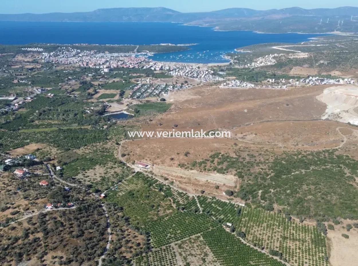 12,901 M² Tangerine Garden Im Gebiet Seferihisar Sığacık Taşdibi