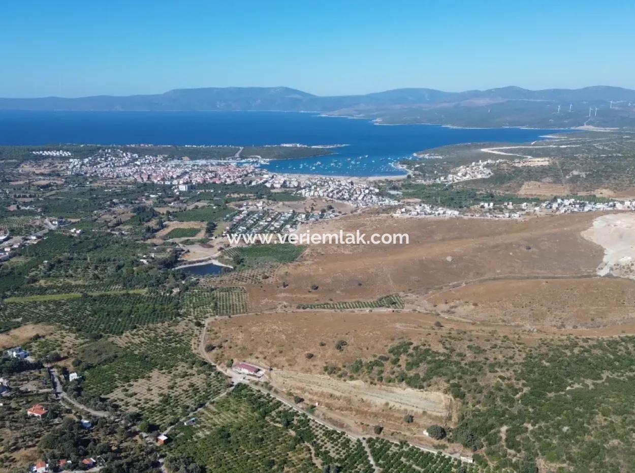 12,901 M² Tangerine Garden Im Gebiet Seferihisar Sığacık Taşdibi