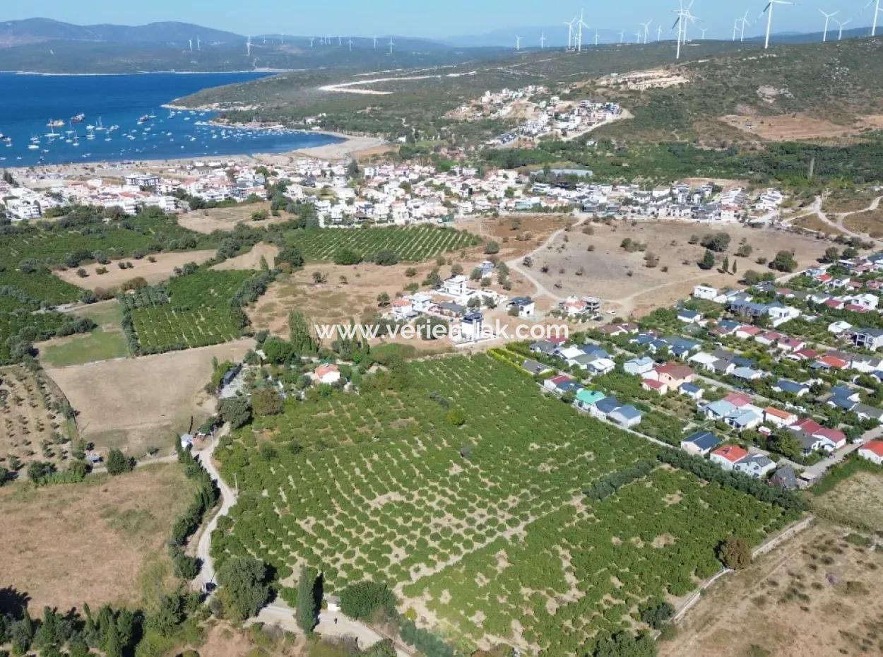 6.474 M² Mandarinengarten In Seferihisar Siğacik Karagöl – Ort Taşdibi