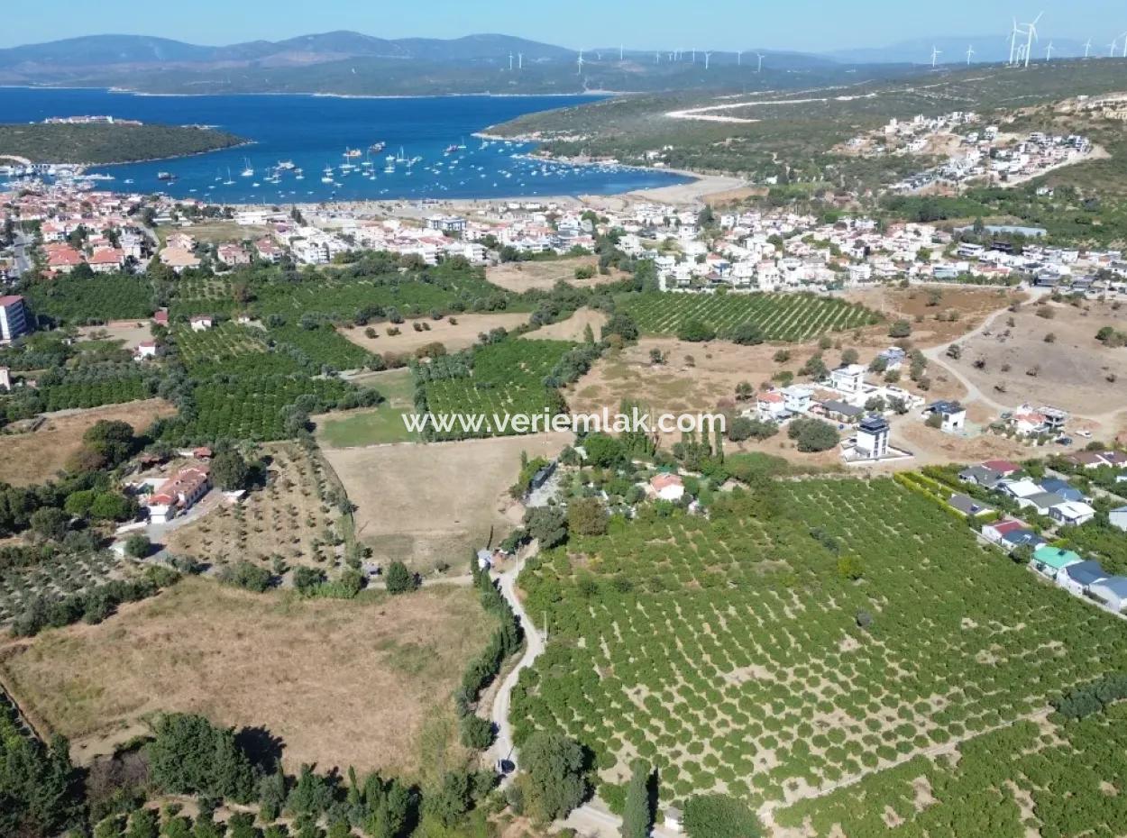 6.474 M² Mandarinengarten In Seferihisar Siğacik Karagöl – Ort Taşdibi