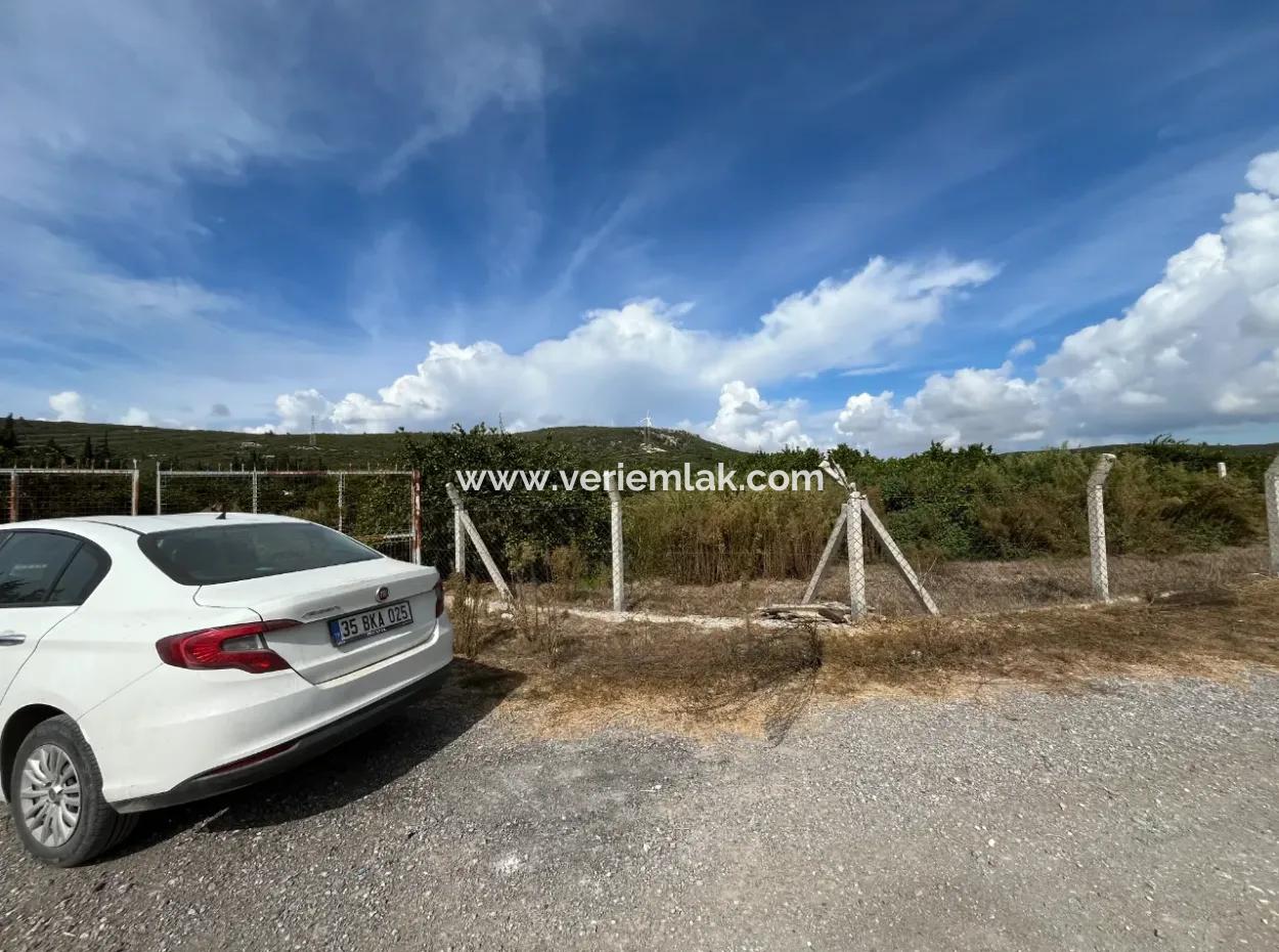 Zum Verkauf In Seferihisar Düzce 2,628,64 M² Tangerine Grove