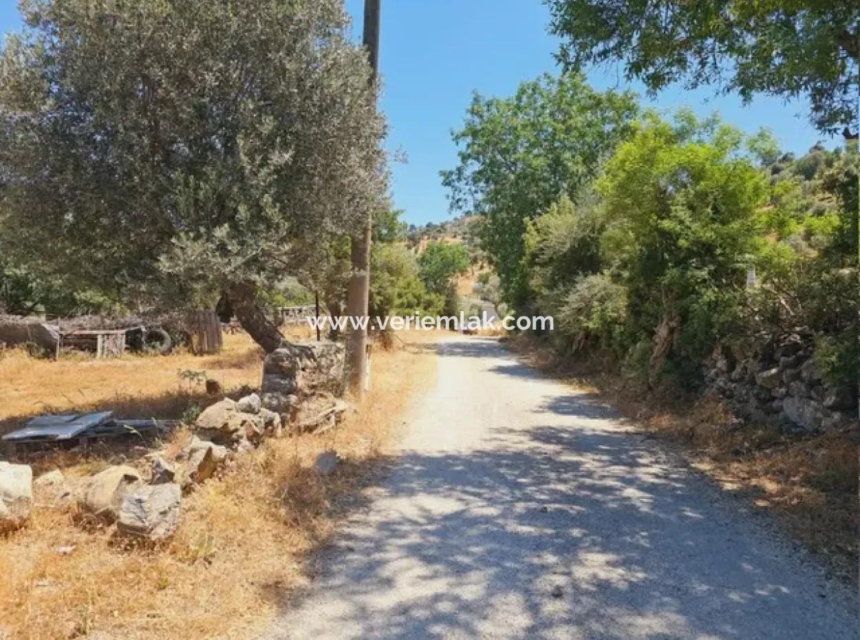 1000M2 Zoniertes Grundstück In Seferihisar Ulamış