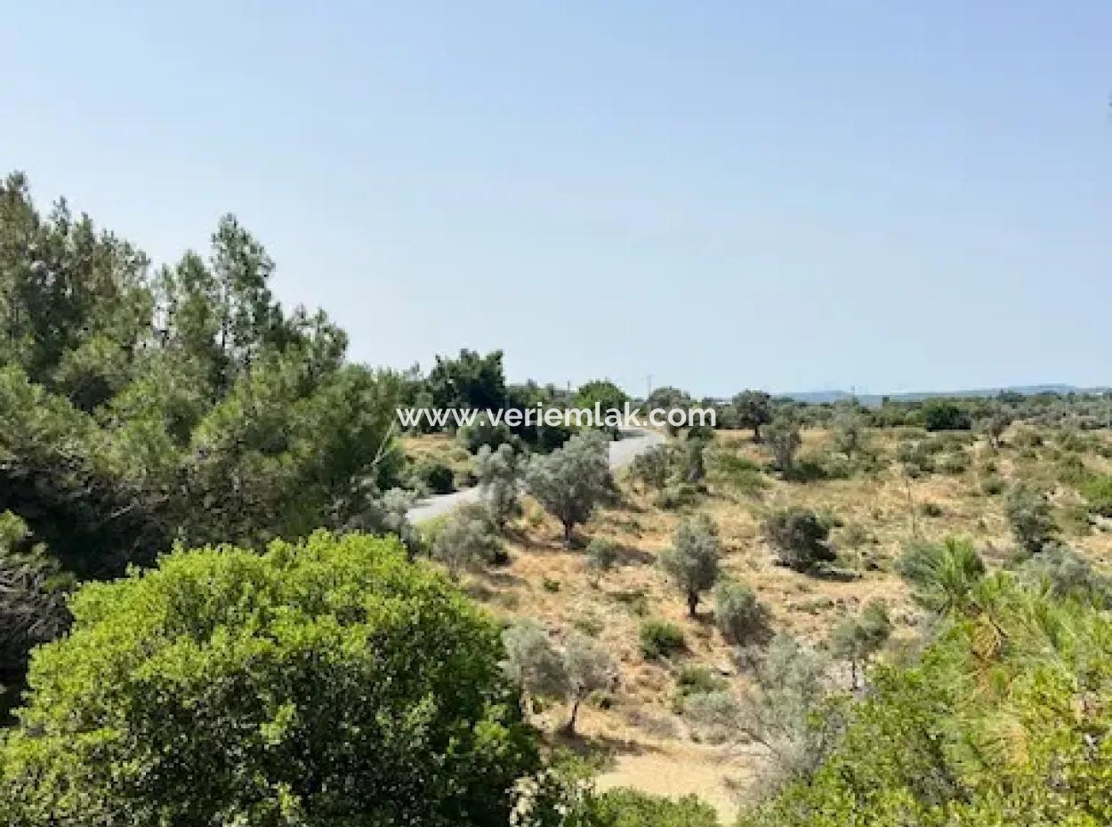 20 Hektar Land In Der Nähe Der Zonierung An Der Usbekischen Straße In Urla Rustam