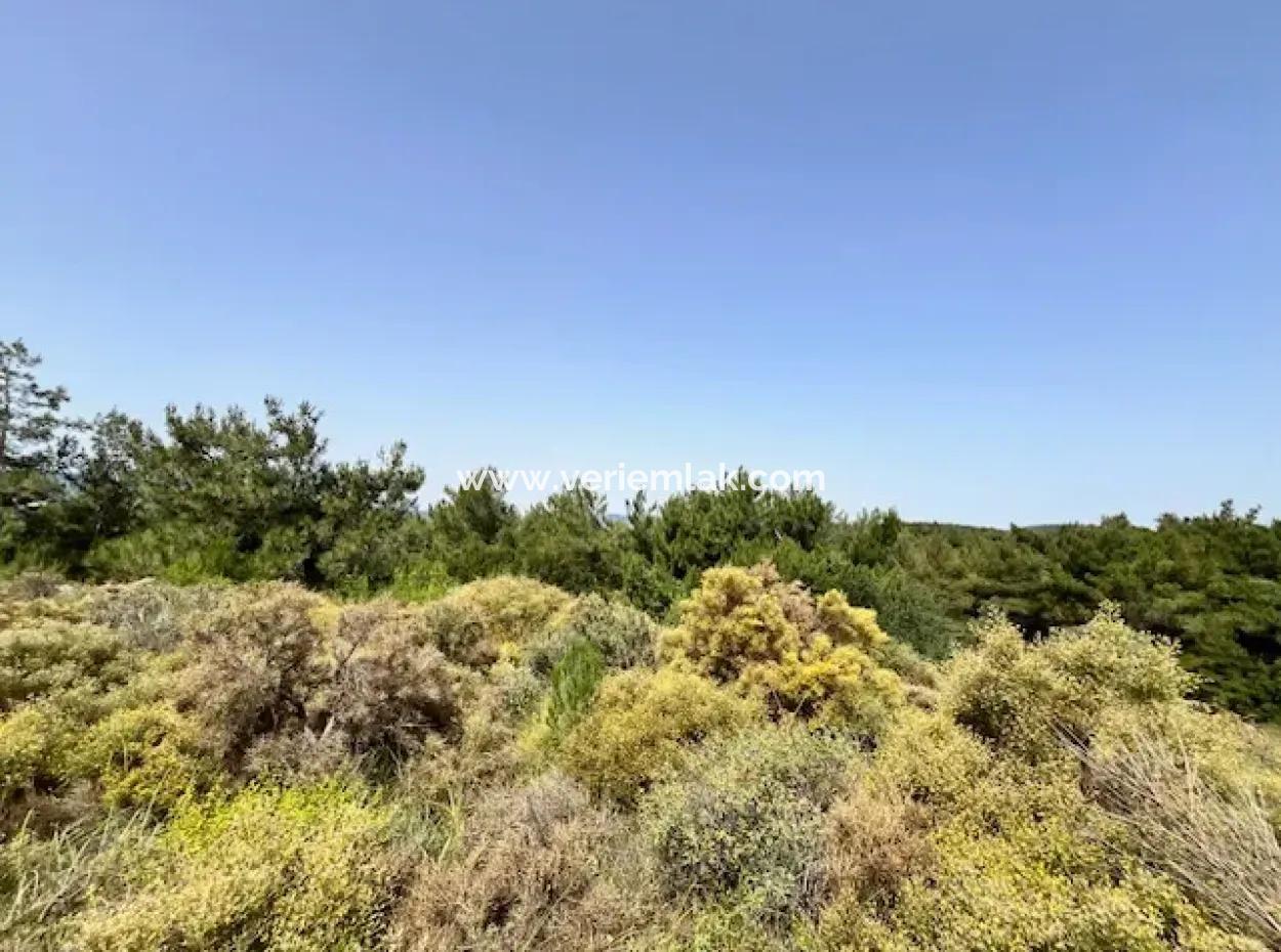 20 Hektar Land In Der Nähe Der Zonierung An Der Usbekischen Straße In Urla Rustam