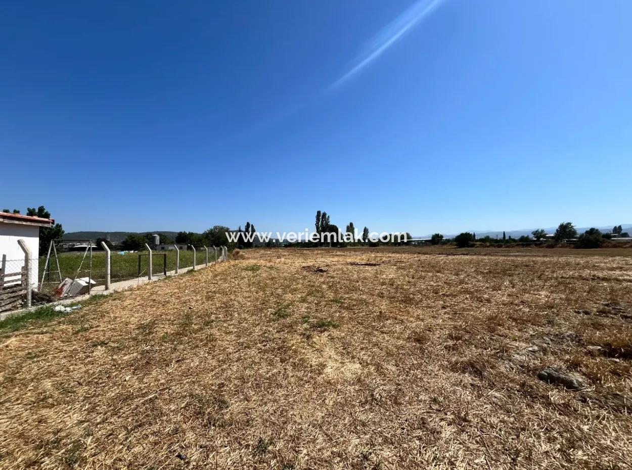 Einzigartiges Feld In Der Nachbarschaft Von Seferihisar Düzce