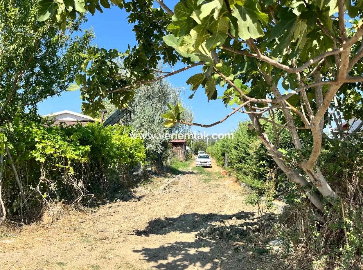 Einzigartiges Feld In Der Nachbarschaft Von Seferihisar Düzce