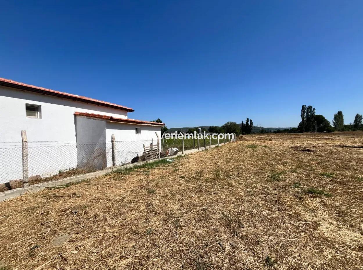 Einzigartiges Feld In Der Nachbarschaft Von Seferihisar Düzce