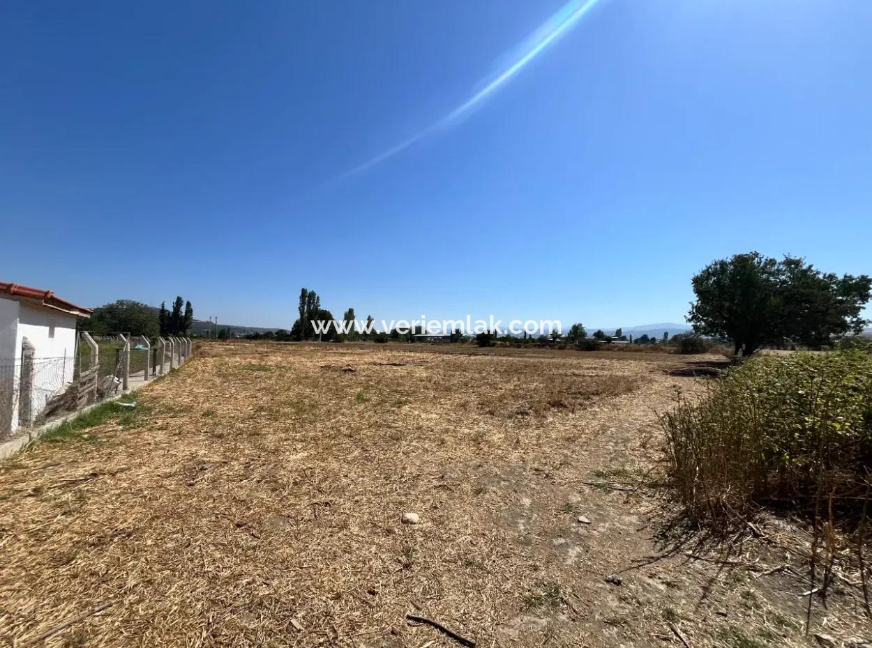 Einzigartiges Feld In Der Nachbarschaft Von Seferihisar Düzce
