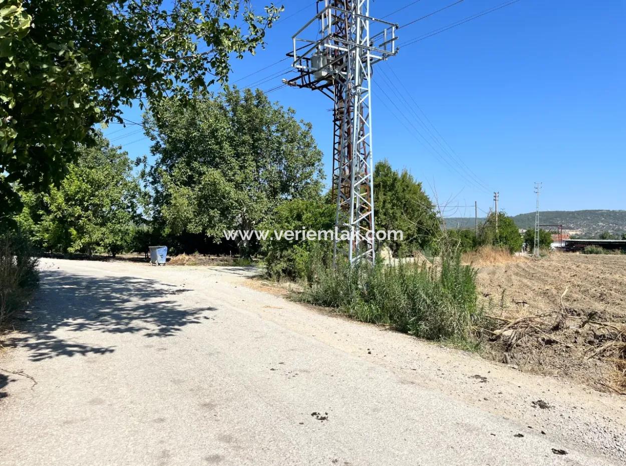 Einzigartiges Feld In Der Nachbarschaft Von Seferihisar Düzce