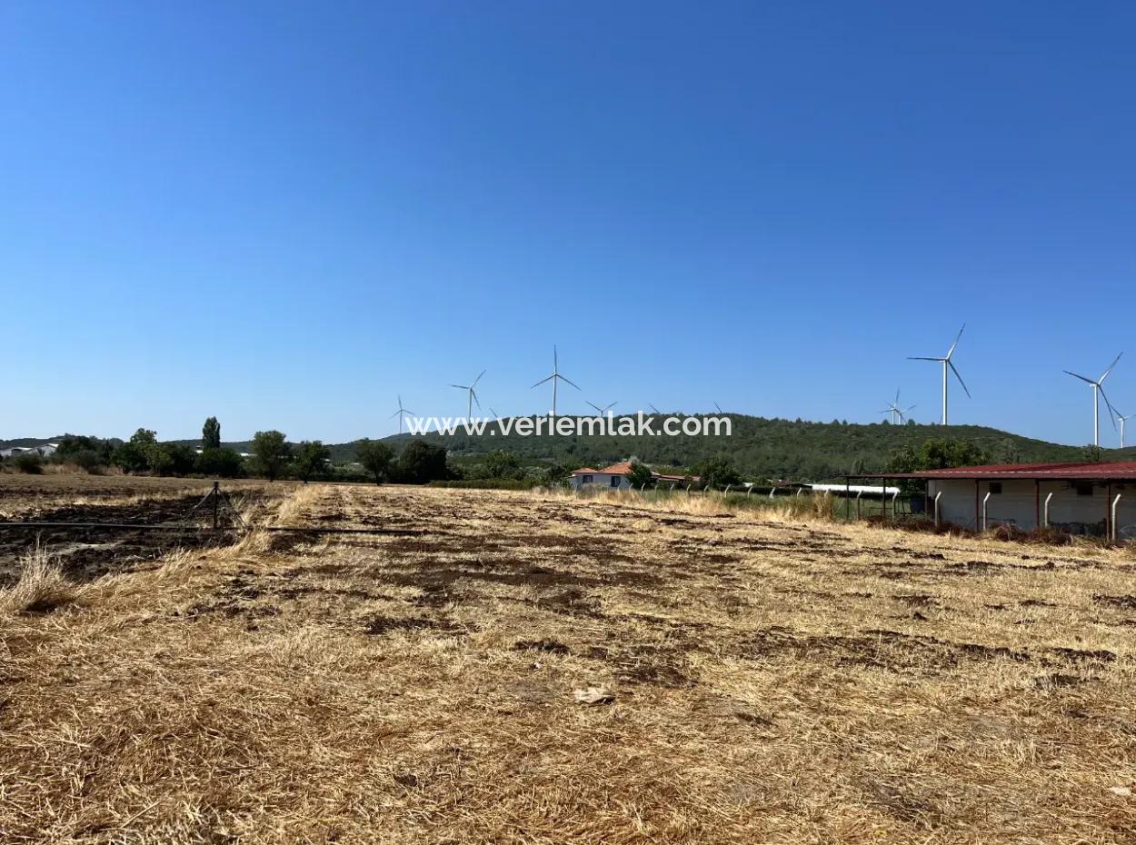 Einzigartiges Feld In Der Nachbarschaft Von Seferihisar Düzce
