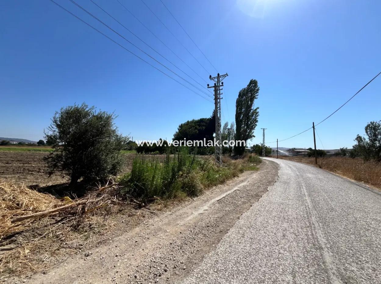 Einzigartiges Feld In Der Nachbarschaft Von Seferihisar Düzce
