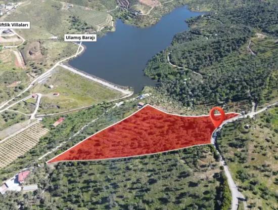 Oliven Zum Verkauf In Seferihisar Ulamış | Tal Und Seeblick