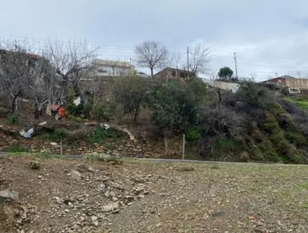 2000 M² Olivenhain In Seferihisar Beyler – 200 Meter Vom Dorfzentrum Entfernt!