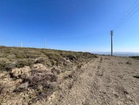 Villa Zoned Land Zum Verkauf, Geeignet Für Investitionen In Seferihisar Düzce Nachbarschaft