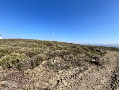 Villa Zoned Land Zum Verkauf, Geeignet Für Investitionen In Seferihisar Düzce Nachbarschaft