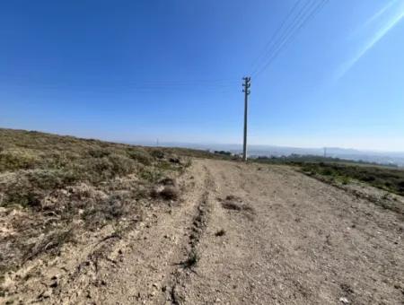 Villa Zoned Land Zum Verkauf, Geeignet Für Investitionen In Seferihisar Düzce Nachbarschaft