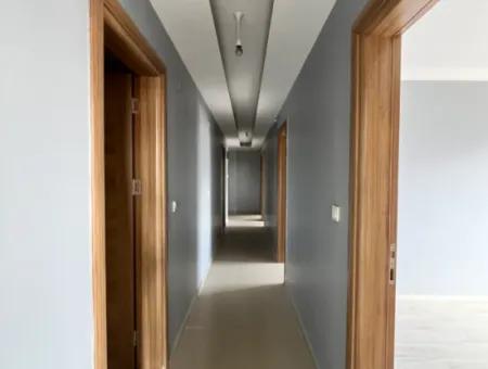 3 1 Wohnung Zum Verkauf Mit Geschlossener Küche In Ecklage Im Viertel Seferihisar Hidirlik