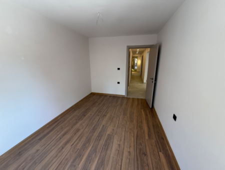 Kostenlos In Einer Komplett Renovierten Strasse In Der Nähe Der Wirtschaftsuniversität