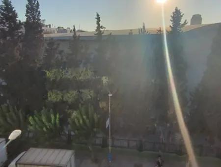 Erdgas 3 1 Wohnung Mit Aufzug Mit Blick Auf Die Grüne Natur Der Messe