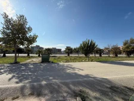 Wohnung Zu Vermieten Mit Grünflächenfassade In Der Seferihisar İzmir Strasse