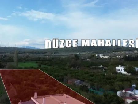 Freistehendes Haus Zum Verkauf In Einem 2200 M² Grossen Tangerine-Garten Im Viertel Seferihisar Düzce