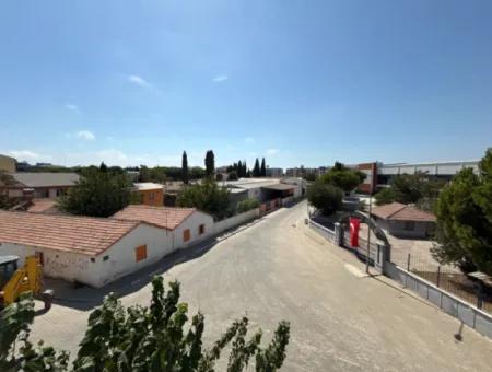 Geräumige 3 1 Wohnungen Mit Ecklage In Seferihisar Çolakibrahimbey