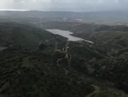 Seferihisar Ulamış Stadtteil – Olivenhain Zum Verkauf In Der Nähe Des Damms, Breite Straßenfront, Talblick