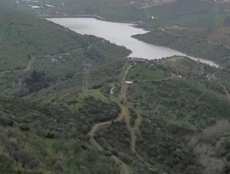 Seferihisar Ulamış Stadtteil – Olivenhain Zum Verkauf In Der Nähe Des Damms, Breite Straßenfront, Talblick