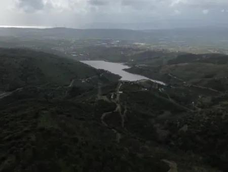 Seferihisar Ulamış Stadtteil – Olivenhain Zum Verkauf In Der Nähe Des Damms, Breite Straßenfront, Talblick