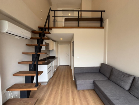 Buca Koop Myway Site 3. Stock 1 1 Loft Möblierte Wohnung Zur Vermietung!