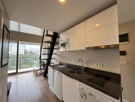 Buca Koop Myway Site 3. Stock 1 1 Loft Möblierte Wohnung Zur Vermietung!