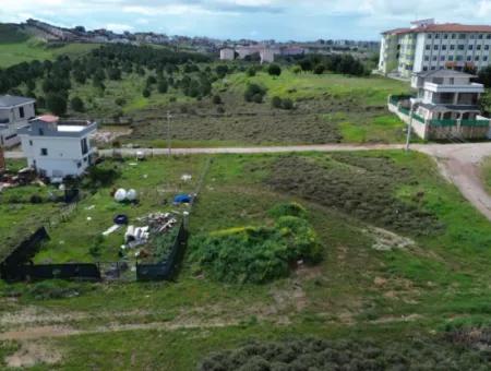 300 M² Chance Land In Seferihisar Düzce!