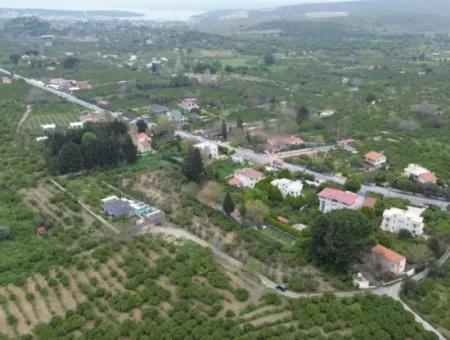 3 Separate Eigentumsurkunden In Sığacık Vom Veri Naranciye Garden Zum Verkauf!