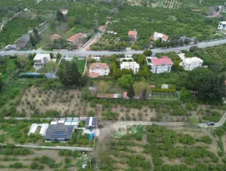 3 Separate Eigentumsurkunden In Sığacık Vom Veri Naranciye Garden Zum Verkauf!