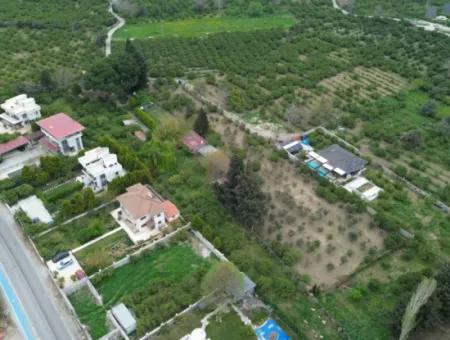 3 Separate Eigentumsurkunden In Sığacık Vom Veri Naranciye Garden Zum Verkauf!