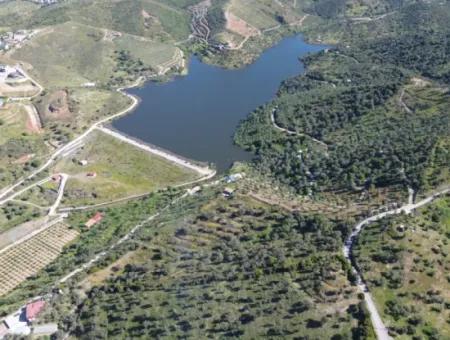 Oliven Zum Verkauf In Seferihisar Ulamış | Tal Und Seeblick